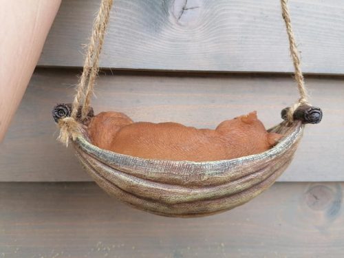 Mókus függőágyban szobor