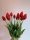 Bimbós tulipán piros szín 37 cm