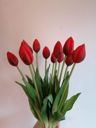 Bimbós tulipán piros szín 37 cm