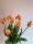 Bimbós tulipán narancs 37 cm