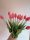 Bimbós tulipán rózsaszín 37 cm
