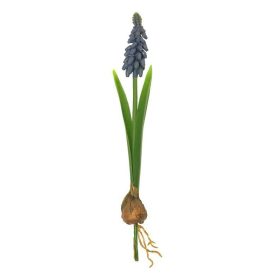 Élethű hagymás muscari kék