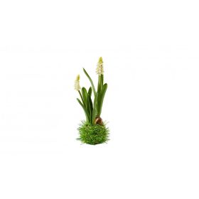 Élethű, fehér muscari fészekben