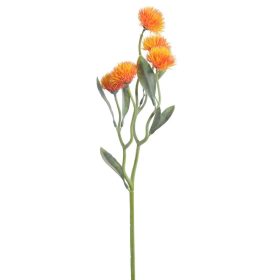 Narancssárga bogáncs virág