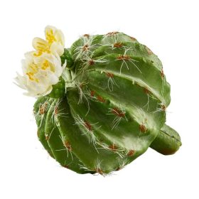 Élethű kaktusz virággal