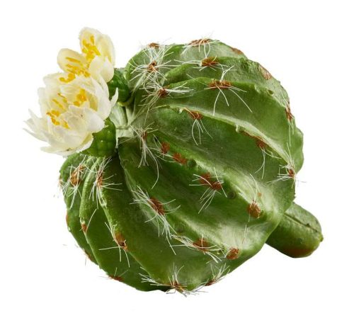 Élethű kaktusz virággal
