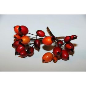 Élethű csipkebogyó köteg