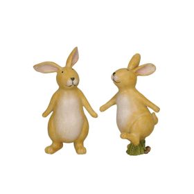 Barna nyuszi 2 féle