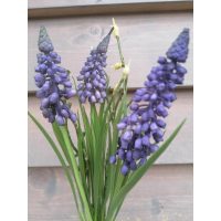 Selyemvirágok, Egyéb Húsvéti dekor