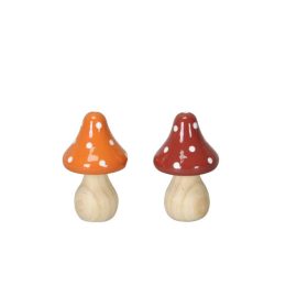 Fa gomba 2 féle szín