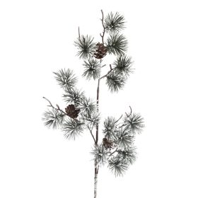 Havas, tűlevelű ág tobozokkal