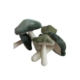 Bársony gomba 6 db-os szett