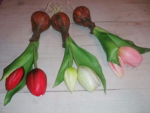 Élethű hagymás tulipán 3 féle