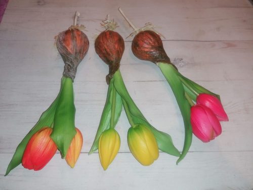 Élethű hagymás tulipán