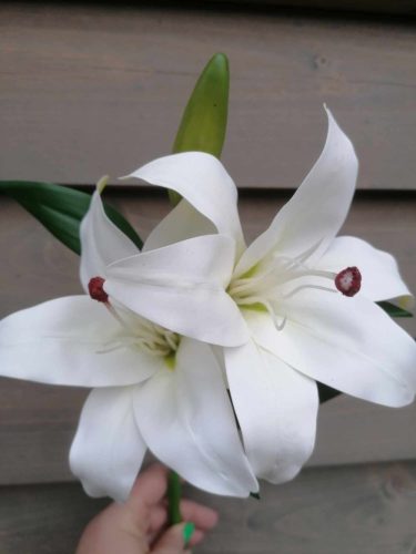 Liliom 4 féle szín