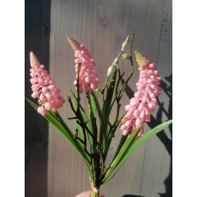 Muscari csokor ágakkal rózsaszín