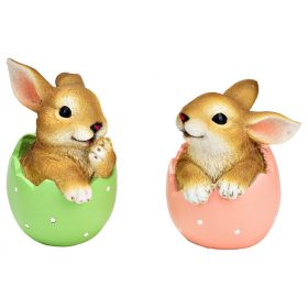 Nyuszi tojásban 2 féle