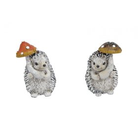 Deres-csillámos sünike gombával 2 féle